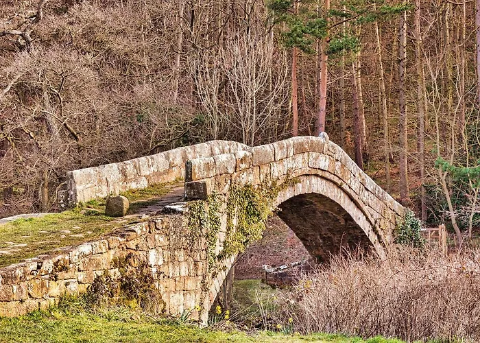 Finest Retreats - Ingleside 度假居 惠特比