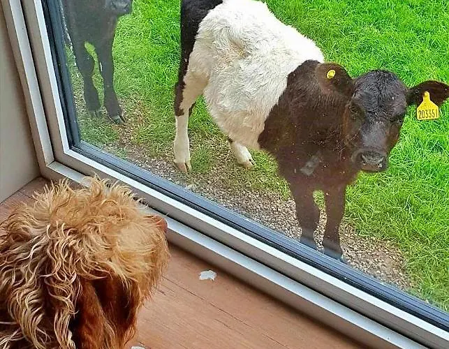 Finest Retreats - Ingleside 度假居 惠特比