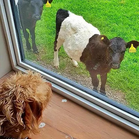 Finest Retreats - Ingleside 別荘 ウィットビー